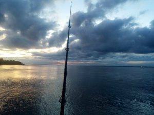 Foto: Pesca Reporte Misiones