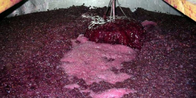 Crece la producción y exportación de mosto de la Argentina