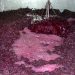 Crece la producción y exportación de mosto de la Argentina