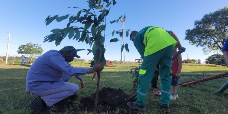 Posadas y Garupá unidos por la arborización