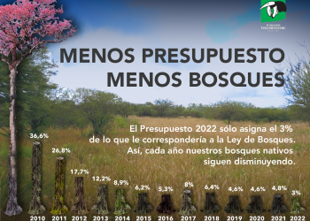Ley de Bosques: ¿qué pasa con el presupuesto que debería asignarse a cada provincia?