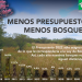 Ley de Bosques: ¿qué pasa con el presupuesto que debería asignarse a cada provincia?