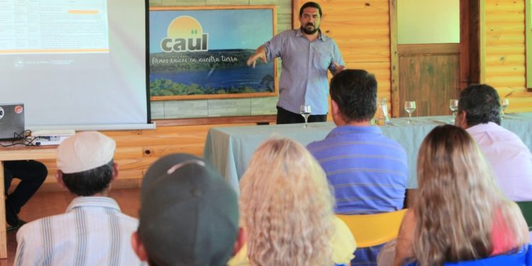 Apicultura, una actividad que crece con valor agregado y equidad territorial