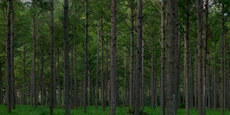 Con Abel Gauto Fechner como presidente, la Amayadap renovó sus autoridades
