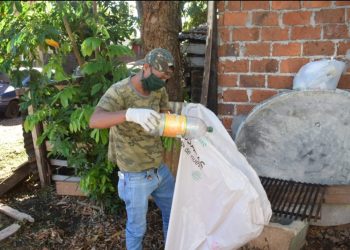 Posadas: los cuidados en verano son clave para evitar la proliferación del Aedes aegypti