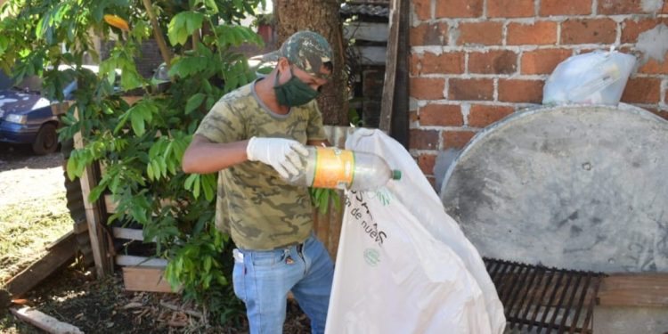 Posadas: los cuidados en verano son clave para evitar la proliferación del Aedes aegypti