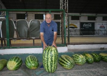 Corrientes: con una sandía de más de 41 kilos, la 49ª Fiesta de la Sandia fue un éxito