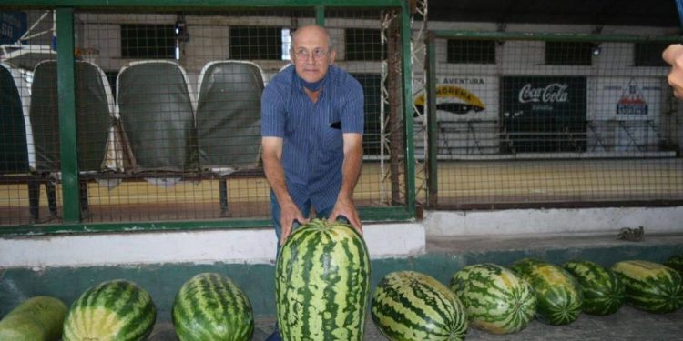 Corrientes: con una sandía de más de 41 kilos, la 49ª Fiesta de la Sandia fue un éxito
