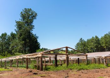Emergencia Agropecuaria: continúan asistiendo a productores afectados por el temporal en Gobernador Roca