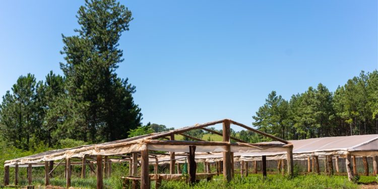 Emergencia Agropecuaria: continúan asistiendo a productores afectados por el temporal en Gobernador Roca