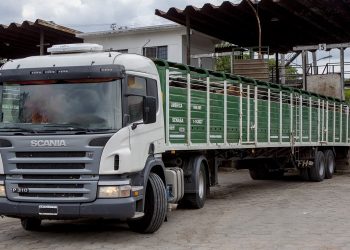 Los costos del transporte de cargas subieron 49% en 2021