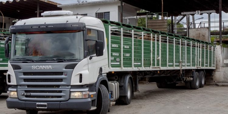 Los costos del transporte de cargas subieron 49% en 2021