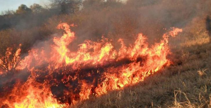 Incendios en Corrientes: se quemaron más de 6 mil hectáreas