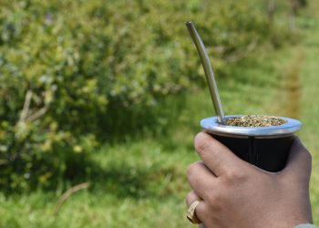 El 2021 cerró con un récord histórico de producción y consumo interno de yerba mate