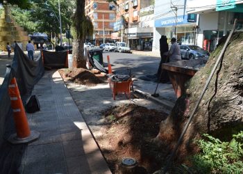 Posadas: desarrollan obras en la Plaza 9 de Julio