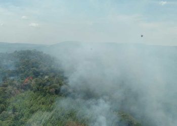 Misiones sumará un tercer helicóptero en la lucha contra incendios