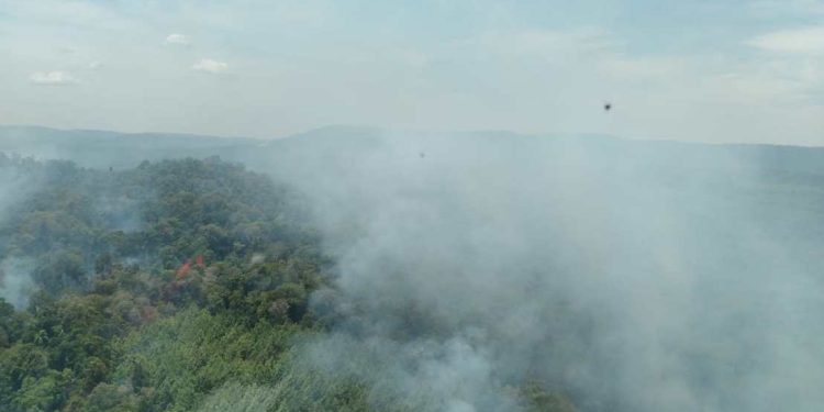 Misiones sumará un tercer helicóptero en la lucha contra incendios