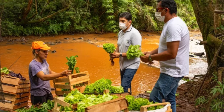 Productores de Gobernador Roca incrementaron sus ventas en el Mercado Concentrador Zonal de Posadas