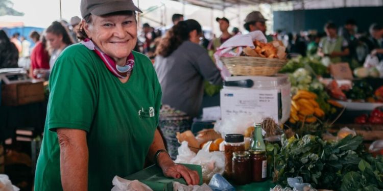 El Gobierno de Misiones lanzó el Programa de Asistencia por Emergencia Agropecuaria