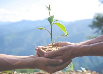 Día Mundial de la Educación Ambiental: materiales gratuitos para docentes