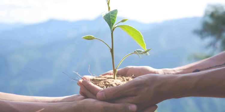 Día Mundial de la Educación Ambiental: materiales gratuitos para docentes