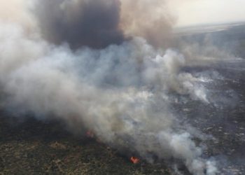 Incendios en Corrientes: firman un convenio para asistir con aportes no reintegrables a pequeños productores