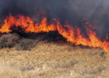 Decretaron la emergencia agropecuaria en Formosa