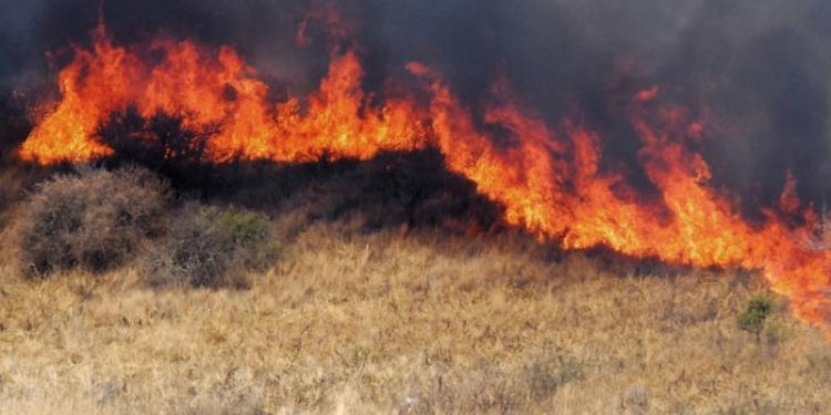 Decretaron la emergencia agropecuaria en Formosa