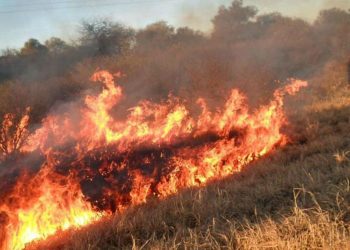 Corrientes declaró el estado de desastre agropecuario por incendios rurales