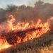 Corrientes declaró el estado de desastre agropecuario por incendios rurales