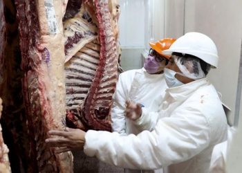 Cuáles son los cortes que abarca el nuevo acuerdo de precios de la carne