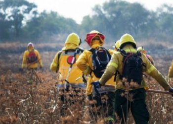 Corrientes: las pérdidas alcanzaría a $67.300 millones