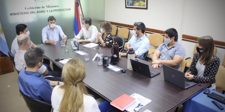 Impulso a la producción de azúcar rubio