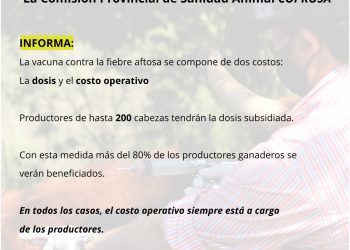 Comenzó la campaña de vacunación contra fiebre aftosa en Misiones