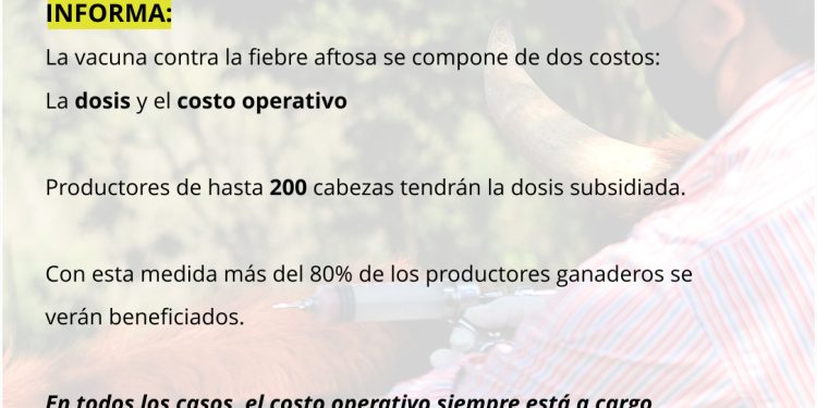 Comenzó la campaña de vacunación contra fiebre aftosa en Misiones
