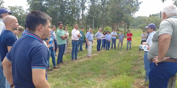 SAFCI: es necesario poner en la agenda pública los principales problemas de recursos de agua en el ámbito rural