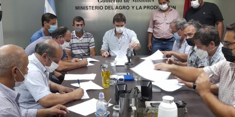 Acuerdan nuevo precio del tabaco e inicio del acopio con un aumento del 50%