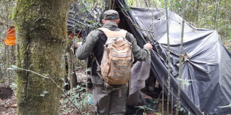 Destruyen siete campamentos de cazadores furtivos brasileños en la Biosfera Yabotí