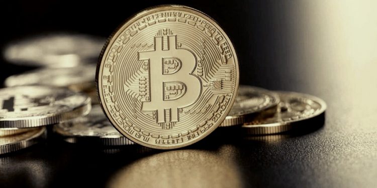 En Argentina, 12 de cada 100 adultos compraron criptomonedas para ahorrar o invertir