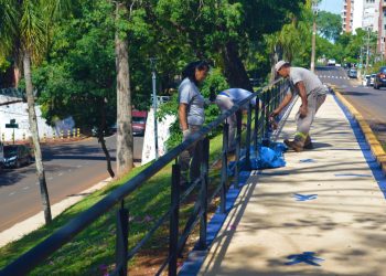 Finalizaron las obras para poner en valor la avenida Roque Sáenz Peña