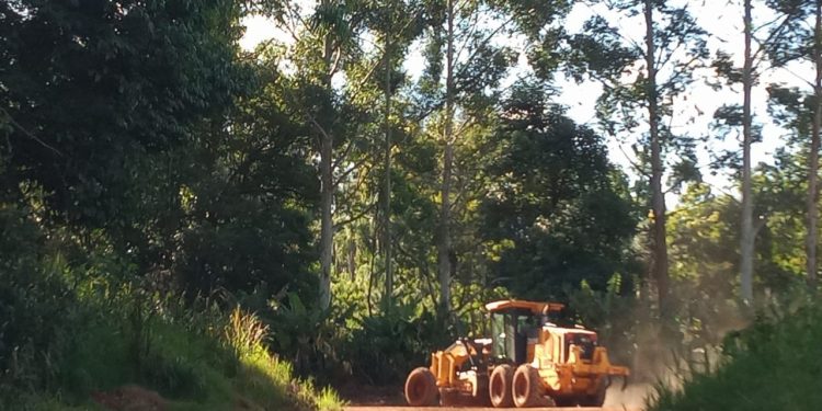 Vialidad de Misiones lleva adelante un intenso trabajo de mantenimiento de las rutas terradas