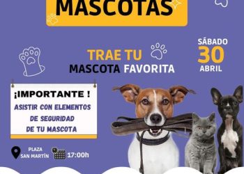 Se viene el gran Desfile de Mascotas en Puerto Iguazú