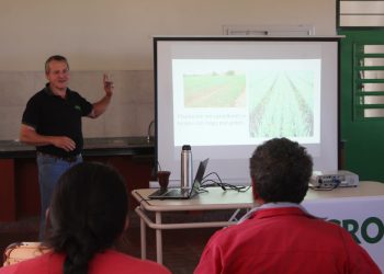 Con una jornada técnica, comenzó la campaña de cultivo de cebolla morada en Misiones