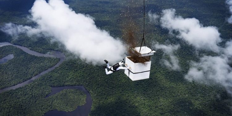 Paracaidista lanzó más de 100 millones de semillas en una zona deforestada del Amazonas