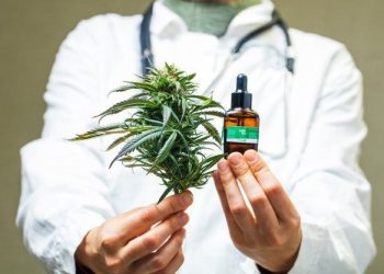 Misiopharma: el objetivo es contar este año con la infraestructura y equipamiento necesario para desarrollar el aceite de cannabis