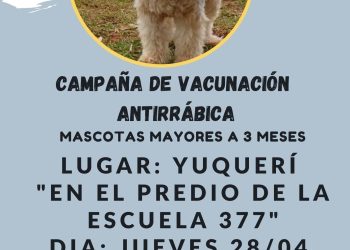 Garuhapé: el jueves el operativo de vacunación de mascotas estará en Colonia Yuquerí