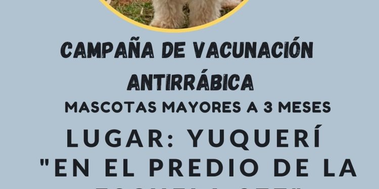 Garuhapé: el jueves el operativo de vacunación de mascotas estará en Colonia Yuquerí