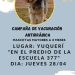 Garuhapé: el jueves el operativo de vacunación de mascotas estará en Colonia Yuquerí