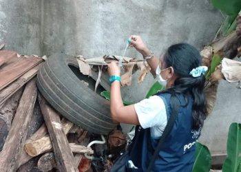 Posadas: recomiendan extremar las medidas de limpieza para evitar la proliferación del mosquito