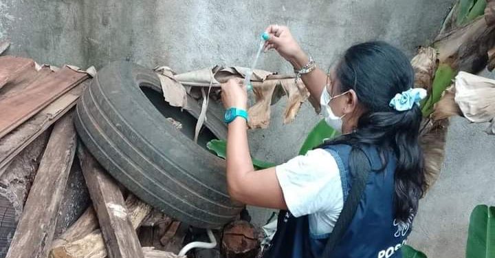 Posadas: recomiendan extremar las medidas de limpieza para evitar la proliferación del mosquito